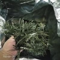 ราคา สาหร่ายฉีกจํานวนมากสาหร่ายปลาหมึกหั่นฝอยลูกบิบิมบับสาหร่ายหั่นฝอยทันทีแถบ 500 กรัมของว่างอบเชิงพาณิชย์ (28713595285)