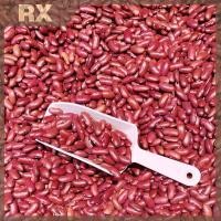 ราคา Null ที่ตักพลาสติกอเนกประสงค์ ที่ตักน้ําแข็ง แป้งข้าว ลูกอมข้าวโพด เมล็ดกาแฟ null (53401285674)