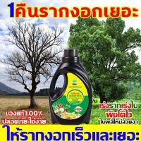 ราคา น้ำยาเร่งราก B1เร่งรากเห็นผลไว เพิ่มพื้นที่ผิวราก ลดการใช้ปุ๋ย รากดูดซึมสารอาหารได้ดี พืชโตไว แข็งแรง 500g ปุ๋ยเร่งราก (15298070997)
