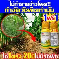 ราคา ยาฆ่าหญ้าในข้าวโพด ทุกสายพันธุ์ ฉีดทับข้าวโพดได้ กำจัดหญ้าในข้าวโพด2 5วัน ปลอดภัย ยาฆ่าหญ้า อัตราการฆ่100 (22354699969)