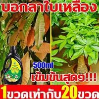 ราคา บอกลาใบเหลือง พืชเหี่ยว พืชโทรม สารเร่งราก ข1 เข้มข้น 100 เร่งแตกราก เร่งยอด แตกใบ ฟื้นฟูต้นไม้ ยาเร่งราก เร่งโตไว (27092970700)