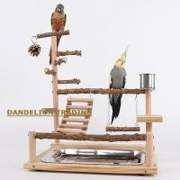 ราคา แดนเดไลออน ขาตั้งนกนกแก้วยืนนกแก้วปีนเขาสุทธิปีนเขากรอบนกแก้วการฝึกอบรมยืนนกแก้วเมฆบันไดแกว่งนกของเล่นระงับสะพาน (40412386051)