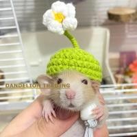 ราคา DANDELION หมวกหนูแฮมสเตอร์หมวกนกแก้วถักหมวกสัตว์เลี้ยง Lizard หมวกงูสัตว์เลี้ยงหมวกสไตล์ใหม่ถักมือการ์ตูนสัตว์กบตกแต่งหมวกอุปกรณ์สามมิติเด็กน่ารักมินิสัตว์เลี้ยงหมวก (40352470364)