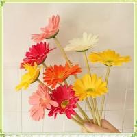 ราคา youngtime ดอกเดซี่ ดอกไม้ประดิษฐ์ ดอกไม้ผ้าไหมสำหรับตกแต่งงานแต่งงาน DIY ดอกไม้ปลอม ช่อดอกไม้เยอบีร่า ปาร์ตี้คริสต์มาส ของตกแต่งบ้าน youngtime (24860634630)