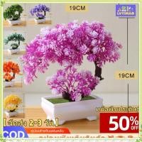 ราคา youngtime ต้นไม้ประดิษฐ์ บอนไซ ต้นไม้จำลอง กระถางต้นไม้ขนาดเล็ก สวนประดิษฐ์ สวนต้นไม้ประดิษฐ์ขนาดเล็ก ตกแต่งห้องนอนนักเรียน youngtime (49401114191)