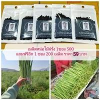ราคา เมล็ดพันธ์ุหน่อไม้ฝรั่ง 500 เมล็ด แถม 200 เมล็ด เมล็ดพันธ์ุหน่อไม้ฝรั่ง Brock s Improved (4477305425)
