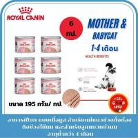 ราคา 6 กป แมว Royal canin Babycat 195 กรัม 1 กป แม่แมวช่วงตั้งท้องถึงช่วงให้นม และลูกแมวหย่านม อายุต่ำกว่า 4 เดือน (27671246051)