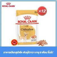 ราคา ยกกล่อง 12 ซอง อาหารเปียกสุนัขโตพันธุ์ชิวาวา อายุ 8 เดือนขึ้นไป หมดอายุ 3 2026 (29068293164)