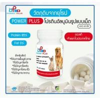ราคา Power Plus Pure Albumin 60 Tablet Exp 09 2026 อาหารเสริมโปรตีนชนิดเม็ด (8665547764)