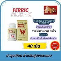 ราคา Ferric Plus K ขนาดบรรจุ 40 เม็ด หมดอายุ 06 2026 วิตามินบำรุงเลือด บำรุงสุขภาพ (3100484603)