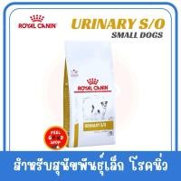 ราคา Royal canin Urinary s o small dog 1 5 กก หมดอายุ 08 2026 อาหารสัตว์ป่วยเป็นนิ่วพันธ์เล็กน้ำหนักน้อยกว่า 10 กก (2076034749)