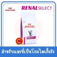 ราคา หมดอายุ 04 2026 แบบเม็ด 400 g Royal canin Renal Select cat แมวโตที่เป็นโรคไตเรื้อรัง ที่มีภาวะของเสียในเลือดสูง (12724477981)
