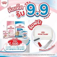 ราคา รับฟรี ชุดแปรงขนสัตว์เลี้ยง Royal canin (44073403697)