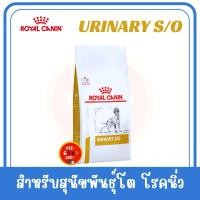 ราคา Exp 08 2026 Royal canin Urinary S O Dog 2 Kg โรคนิ่ว สตรูไวท์ออกซาเลต โรคกระเพาะปัสสาวะอักเสบ (2076034724)