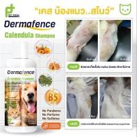 ราคา Dermafence Calendula Shampoo 250 ml Exp 04 2026 แชมพูสูตรฟื้นฟูผิวหนัง (29674244176)