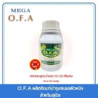 ราคา O F A plus 10 1 20 kg Exp 09 2026 สำหรับสุนัขและแมว บำรุงขน 60 เม็ด (2076016096)