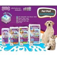 ราคา Bok dok แผ่นรองซับหนา สำหรับสุนัขและแมว (6107565294)