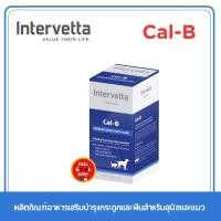 ราคา Dr Choice Cal B จำนวน 100 เม็ด หมดอายุ 10 2025 ชนิดดูดซึมง่าย บำรุงได้ผลรวดเร็ว เสริมสร้างระบบกระดูกและฟัน (2864150991)