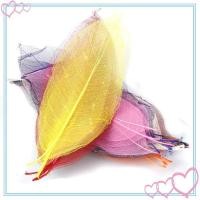 ราคา meteor2 50 ชิ้น 5 6 นิ้วใบโครงกระดูกแห้งธรรมชาติสําหรับการ์ดทํา Embellishments (42364516435)