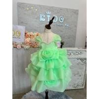 ราคา ชุดราตรีเด็ก หน้าร้านอยู่รัชดา ลองได้ถ่ายรูปจากชุดจริง W18947 สีเขียว กระโปรงสั้น ฟูทรงกุหลาบ หรูมากค่ะ (24430960488)