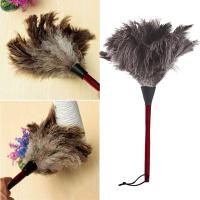 ราคา Feather Duster ด้ามไม้ Duster Removal Dusters นกกระจอกเทศแปรงขนสัตว์ขนสัตว์ขนสัตว์สําหรับเครื่องมือทําความสะอาดบ้าน (41225120817)