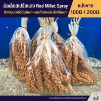 ราคา มิลเล็ตสเปร์ยแดง อาหารนกแก้ว หนูแฮมสเตอร์ และสัตว์ฟันแทะ Red Millet Spray แบ่งขาย 100G 200G (7521129135)