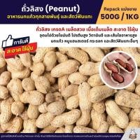 ราคา ถั่วลิสง Peanut เกรดA นำเข้า อาหารนกแก้ว อาหารหนูแฮมสเตอร์ และสัตว์ฟันแทะ แบ่งขาย 500G 1KG (2023551960)
