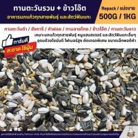 ราคา ทานตะวันรวม ข้าวโอ๊ต เมล็ดดอกคำฝอย อาหารนกแก้วทุกสายพันธุ์ และสัตว์ฟันแทะ แบ่งขาย 500G 1KG (19972204825)