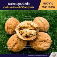 ราคา วอลนัท Walnut เนื้อแน่น สำหรับนกแก้ว ชูก้าร์ แฮมสเตอร์ กระรอก แพรี่ด็อก และสัตว์ฟันแทะทุกชนิด 1ลูก 10แถม 1 (2318648000)