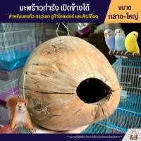 ราคา มะพร้าวทำรัง เปิดข้างได้ สำหรับ นกหงส์หยก กระรอก กระแต และสัตว์เลี้ยงอื่นๆ ไซส์กลาง ใหญ่ (2131884067)