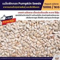 ราคา เมล็ดฟักทอง Pumpkin Seeds เกรดA อาหารนกแก้ว หนูแฮมสเตอร์ และสัตว์ฟันแทะ แบ่งขาย 500G 1KG (22586402669)