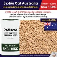 ราคา 5KG 10KG ข้าวโอ๊ต Oat Australia เกรด A ข้าวโอ็ต อาหารนกแก้ว และสัตว์ฟันแทะ สะอาด ร่อนฝุ่นทุกถุง (22369611511)