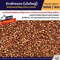ราคา ข้าวฟ่างแดง อาหารนก หนูแฮมสเตอร์ อาหารนกเขาใหญ่ เขาชวา นกแก้ว แบ่งขาย 500G 1KG (9889527102)