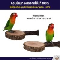 ราคา คอนยืนนก ผลิตจากไม้แท้ 100 สามารถยึดติดกับกรงได้ สำหรับนกแก้วขนาดเล็ก กลาง (14596030153)