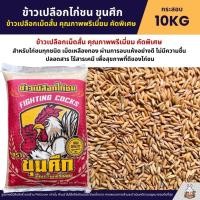 ราคา ข้าวเปลือกไก่ชน ขุนศึก ข้าวเปลือกเม็ดสั้น คุณภาพพรีเมี่ยม คัดพิเศษ กระสอบ 10KG (43011396561)