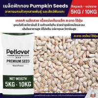 ราคา 5KG 10KG เมล็ดฟักทอง Pumpkin Seeds เกรดA อาหารนกแก้ว หนูแฮมสเตอร์ และสัตว์ฟันแทะ (28485957892)