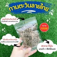 ราคา ทานตะวันฮังการี ลายไทย เกรดA เม็ดเล็ก ร่อนฝุ่น อาหารนก หนูแฮมสเตอร์ แบ่งขาย 100G 250G (22938495288)