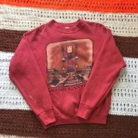 ราคา Fruit of the loom เสื้อเสวตเตอร์ (15676284211)