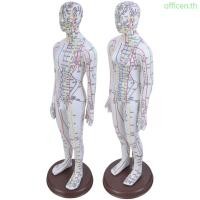 ราคา Cen โมเดลฝังเข็มของมนุษย์พร้อมจุดฝังเข็มและเส้นเมอริเดียนแบบจําลองการฝังเข็มชายแบบจําลองการฝังเข็มหญิงสําหรับการฝังเข็ม (41160030315)