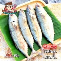 ราคา ปลาทูหอม เค็มน้อยพอดีทาน สดใหม่ จากทะเลปากน้ำปราณ (22542737484)
