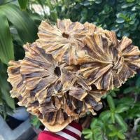 ราคา ปลาวงตากแห้ง 1Kg ไม่เค็ม ตากสะอาด สดใหม่ ราคาส่ง (29923073888)