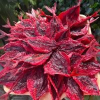 ราคา ปลาทูหวานแดง หวานน้อยกำลังทาน เนื้อไม่แข็ง สะอาด สดใหม่ ของแท้จากปากน้ำปราณ (29369778542)