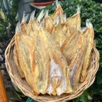 ราคา ปลาช่อนทะเลไซส์ใหญ่ตากแห้ง ไม่เค็ม ตากสะอาด สดใหม่ จากปากน้ำปราณ (27716856392)