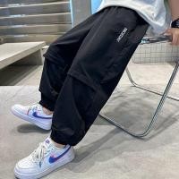 ราคา กางเกงเด็กชายฤดูร้อนจากผ้าไหมน้ำแข็ง แห้งไว สไตล์แฟชั่นสำหรับกิจกรรมกลางแจ้งและป้องกันยุง (42420769847)