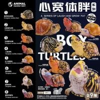 ราคา ขายร้อน เนบิวลาสัตว์ Heart Wide Body Fat Series 25 Bullets a Box Turtle Chapter โมเดลฟิกเกอร์ (24397407480)