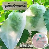 ราคา ถุงผ้าสปันบอนด์ มัดละ 100 ใบ สำหรับห่อผลไม้ ป้องกันแมลง G0048 (26301657402)