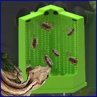 ราคา Bearded Dragon ชามอาหารถ้วยดูด Lizard ชามอาหารสําหรับ Terrarium Wall Climbing Feeder ถังอุปกรณ์เสริมสําหรับ ometyth (50650238245)