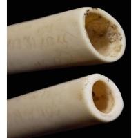 ราคา ตะกรุดหลวงพ่อหรุ่น9ยอด (44426274411)