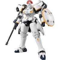 ราคา MG 1 100 OZ 00MS Tallgeese I EW Mobile Suit Gundam Wing Endless Waltz (28086902948)