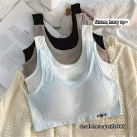 ราคา ลดราคา ชุดชั้นในแบบติดแน่น Maiden สำหรับผู้หญิง ชุดชั้นในนักเรียน ชุดชั้นในแบบติดแน่นสำหรับผู้หญิงและชุดชั้นในผู้หญิง ชุดชั้นในสำหรับเด็กผู้หญิง เสื้อกั๊กสำหรับออกกำลังกาย เสื้อกั๊กสำหรับพัฒนาการสำหรั